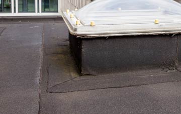 disadvantages of The Hill flat roofs